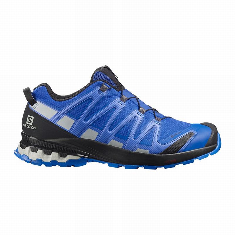 Zapatillas Trail Running Salomon Hombre Negras / Azules - Salomon Argentina XA PRO 3D V8 GORE-TEX ,0